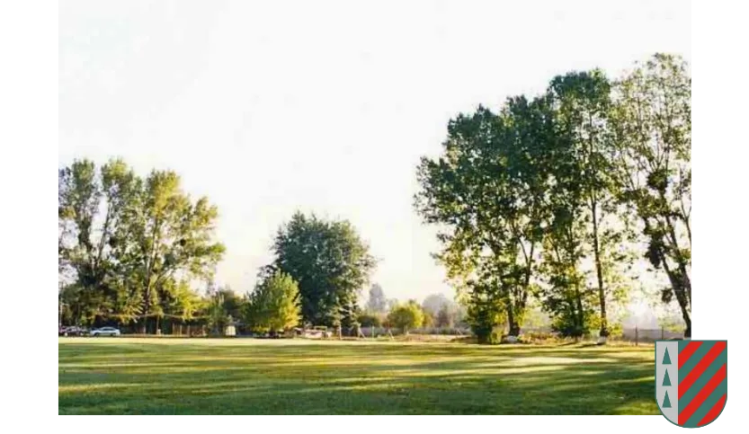 colegio-los-alerces-seduc